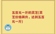 五百元一斤的灵芝(灵芝价格飙升，达到五百元一斤)