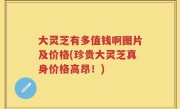 大灵芝有多值钱啊图片及价格(珍贵大灵芝真身价格高昂！)