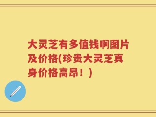 大灵芝有多值钱啊图片及价格(珍贵大灵芝真身价格高昂！)