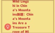 原始灵芝位置图片(原题：The Medicinal Properties of Wild Lingzhi in China's Mountains新题：China's Mountains Are a Treasure Trove of Wild Lingzhi's Medicinal Properties)
