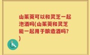 山茱萸可以和灵芝一起泡酒吗(山茱萸和灵芝能一起用于酿造酒吗？)