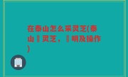 在泰山怎么采灵芝(泰山採灵芝，說明及操作)