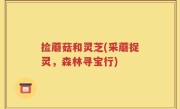 捡蘑菇和灵芝(采蘑捉灵，森林寻宝行)