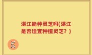 湛江能种灵芝吗(湛江是否适宜种植灵芝？)