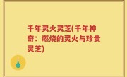 千年灵火灵芝(千年神奇：燃烧的灵火与珍贵灵芝)