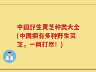 中国野生灵芝种类大全(中国拥有多种野生灵芝，一网打尽！)