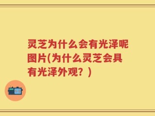 灵芝为什么会有光泽呢图片(为什么灵芝会具有光泽外观？)