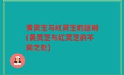 黄灵芝与红灵芝的区别(黄灵芝与红灵芝的不同之处)