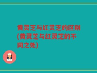 黄灵芝与红灵芝的区别(黄灵芝与红灵芝的不同之处)