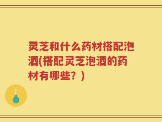 灵芝和什么药材搭配泡酒(搭配灵芝泡酒的药材有哪些？)