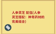 人参灵芝 配伍(人参灵芝搭配：神奇药材的完美组合)