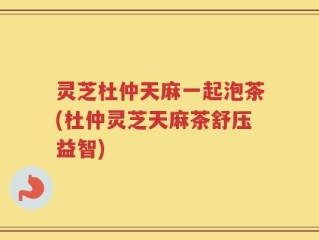 灵芝杜仲天麻一起泡茶(杜仲灵芝天麻茶舒压益智)