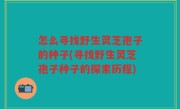 怎么寻找野生灵芝孢子的种子(寻找野生灵芝孢子种子的探索历程)