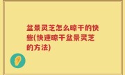 盆景灵芝怎么晾干的快些(快速晾干盆景灵芝的方法)