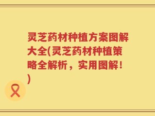 灵芝药材种植方案图解大全(灵芝药材种植策略全解析，实用图解！)