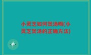 小灵芝如何煲汤喝(小灵芝煲汤的正确方法)