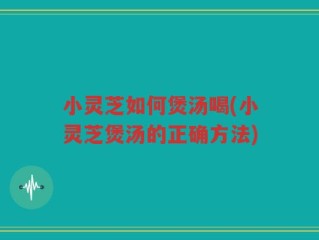 小灵芝如何煲汤喝(小灵芝煲汤的正确方法)