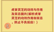 虎掌灵芝的功效与作用及禁忌图片(解析虎掌灵芝的功效作用和禁忌，防止不良反应！)