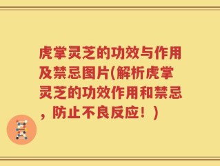 虎掌灵芝的功效与作用及禁忌图片(解析虎掌灵芝的功效作用和禁忌，防止不良反应！)