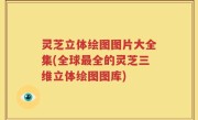灵芝立体绘图图片大全集(全球最全的灵芝三维立体绘图图库)