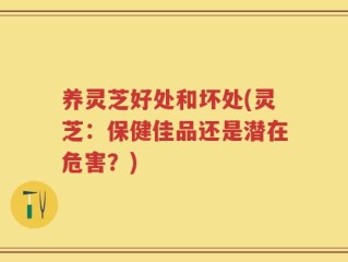 养灵芝好处和坏处(灵芝：保健佳品还是潜在危害？)