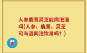 人参鹿茸灵芝能同泡酒吗(人参、鹿茸、灵芝可与酒同泡饮用吗？)