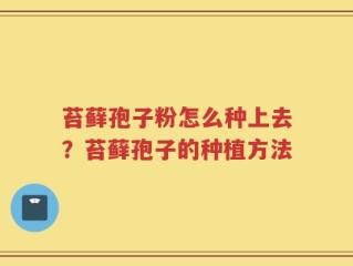 苔藓孢子粉怎么种上去？苔藓孢子的种植方法