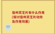 宿州灵芝片有什么作用(探讨宿州灵芝片功效及作用效果)