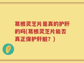 葛根灵芝片是真的护肝的吗(葛根灵芝片能否真正保护肝脏？)