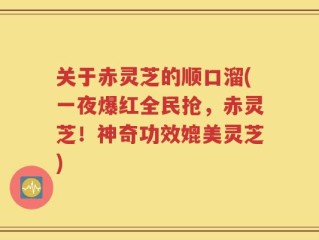关于赤灵芝的顺口溜(一夜爆红全民抢，赤灵芝！神奇功效媲美灵芝)