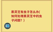 黑灵芝有虫子怎么办(如何处理黑灵芝中的虫子问题？)