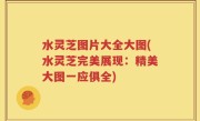 水灵芝图片大全大图(水灵芝完美展现：精美大图一应俱全)