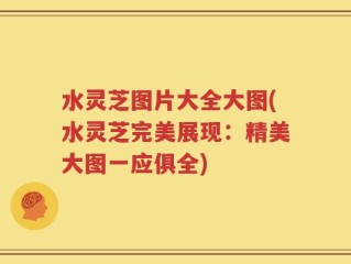 水灵芝图片大全大图(水灵芝完美展现：精美大图一应俱全)