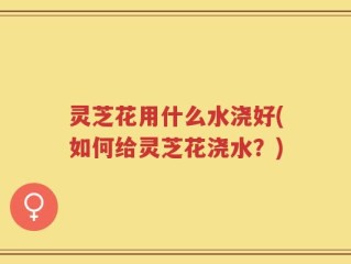 灵芝花用什么水浇好(如何给灵芝花浇水？)