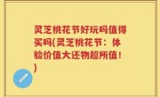 灵芝桃花节好玩吗值得买吗(灵芝桃花节：体验价值大还物超所值！)