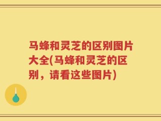 马蜂和灵芝的区别图片大全(马蜂和灵芝的区别，请看这些图片)