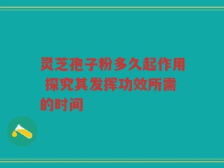 灵芝孢子粉多久起作用 探究其发挥功效所需的时间