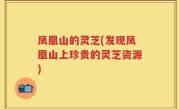 凤凰山的灵芝(发现凤凰山上珍贵的灵芝资源)