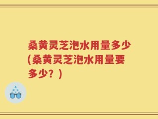 桑黄灵芝泡水用量多少(桑黄灵芝泡水用量要多少？)