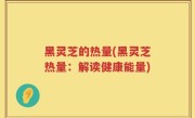 黑灵芝的热量(黑灵芝热量：解读健康能量)