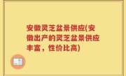 安徽灵芝盆景供应(安徽出产的灵芝盆景供应丰富，性价比高)