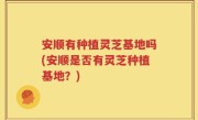 安顺有种植灵芝基地吗(安顺是否有灵芝种植基地？)