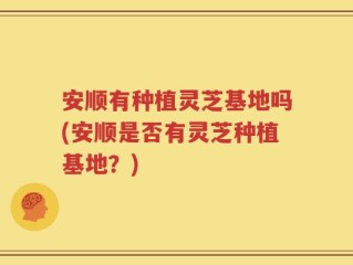 安顺有种植灵芝基地吗(安顺是否有灵芝种植基地？)