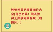 纯天然灵芝原浆图片大全(自然之美:纯天然灵芝原浆完美呈现(附图片))