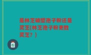 是林芝破壁孢子粉还是灵芝(林芝孢子粉更胜灵芝？)