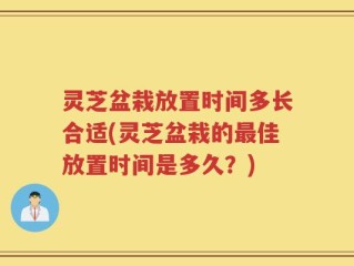 灵芝盆栽放置时间多长合适(灵芝盆栽的最佳放置时间是多久？)
