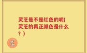 灵芝是不是红色的呢(灵芝的真正颜色是什么？)