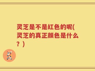 灵芝是不是红色的呢(灵芝的真正颜色是什么？)