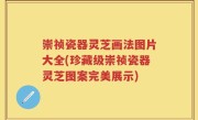 崇祯瓷器灵芝画法图片大全(珍藏级崇祯瓷器灵芝图案完美展示)