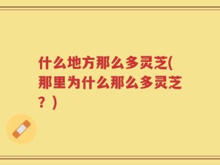 什么地方那么多灵芝(那里为什么那么多灵芝？)